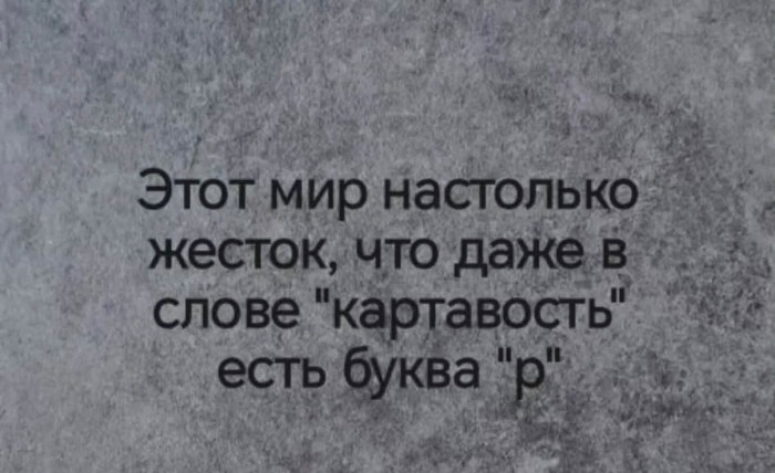 IMG_8615.jpeg