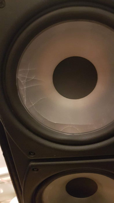 speaker-cone-cracking-help-v0-cwof6dw4fr781.jpg
