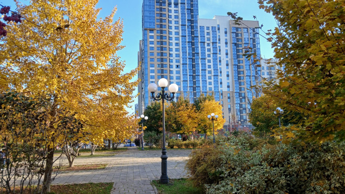 20261017_145529.jpg