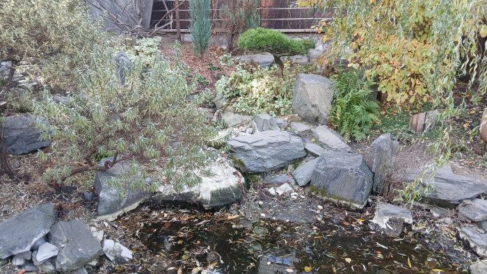 20261025_125436.jpg