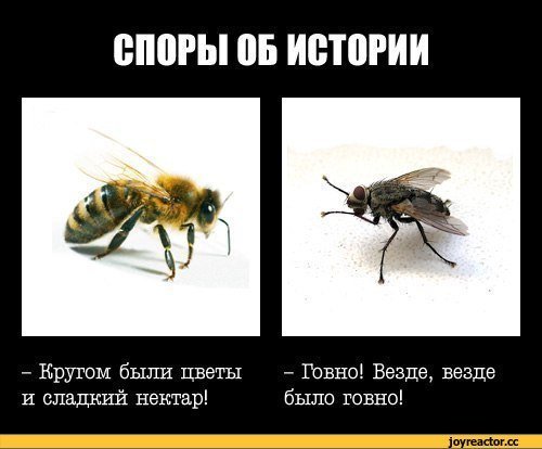 c84303939399.jpg