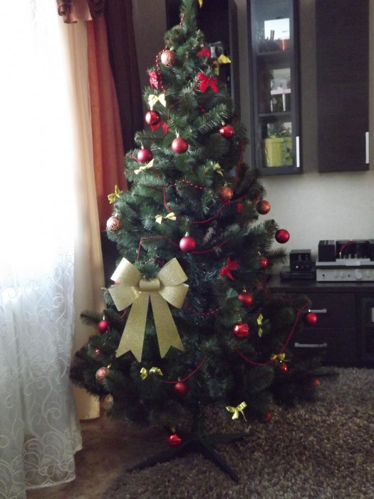 DSCF1257.JPG