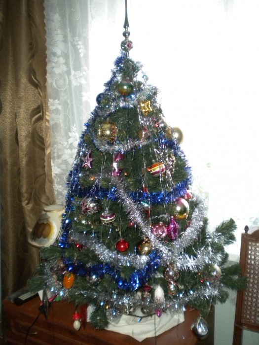 DSCN2721.JPG