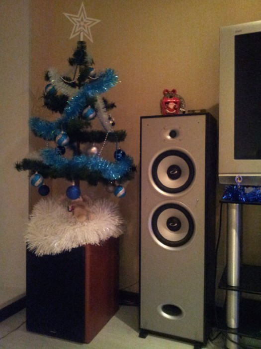 2013-12-31-17.53.54.jpg