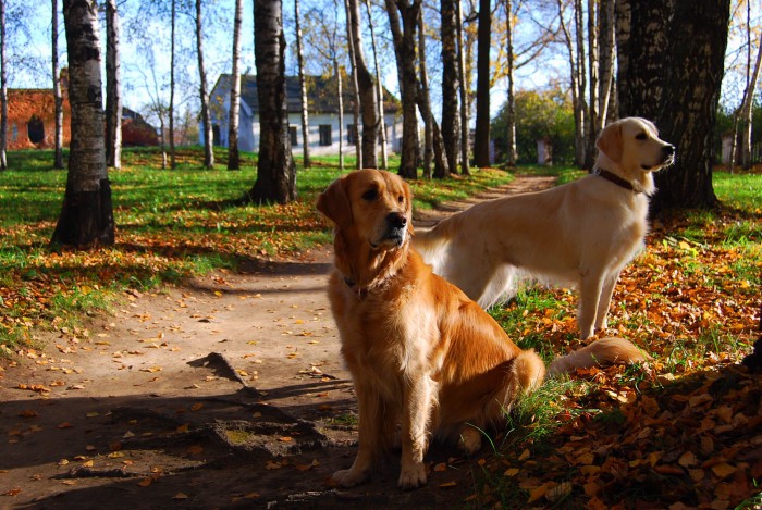 Копия (2) DSC_1702.jpg