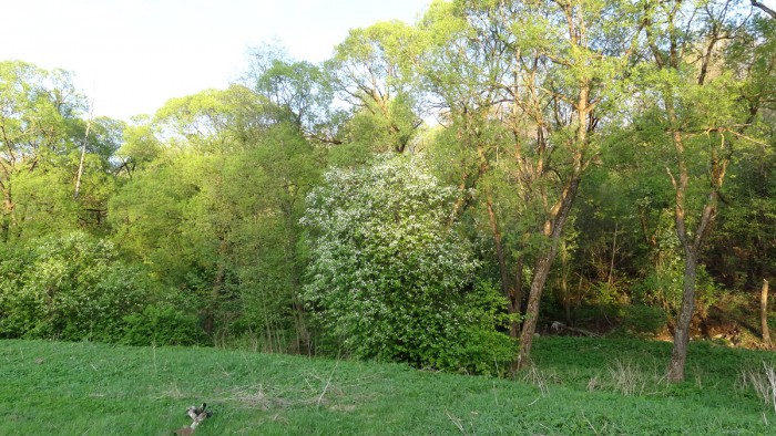 DSC02196.jpg