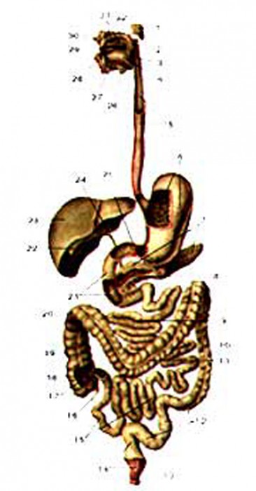 166.jpg