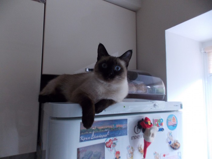 DSCN1522.JPG