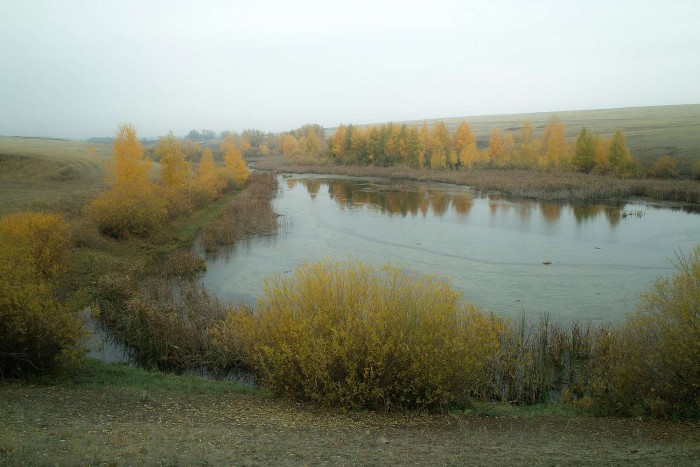РЕС...SDIM0398.JPG