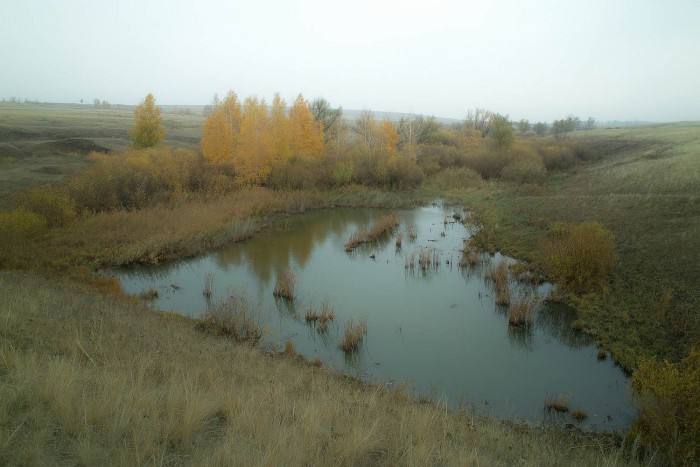 РЕС...SDIM0407.JPG