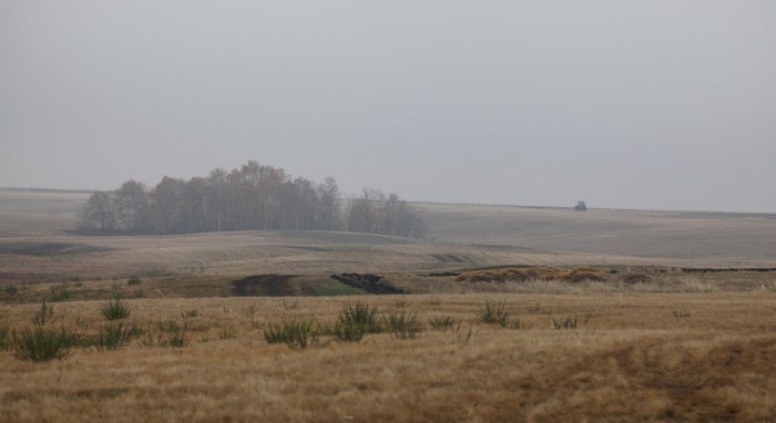 РЕС...IMG_4903.JPG