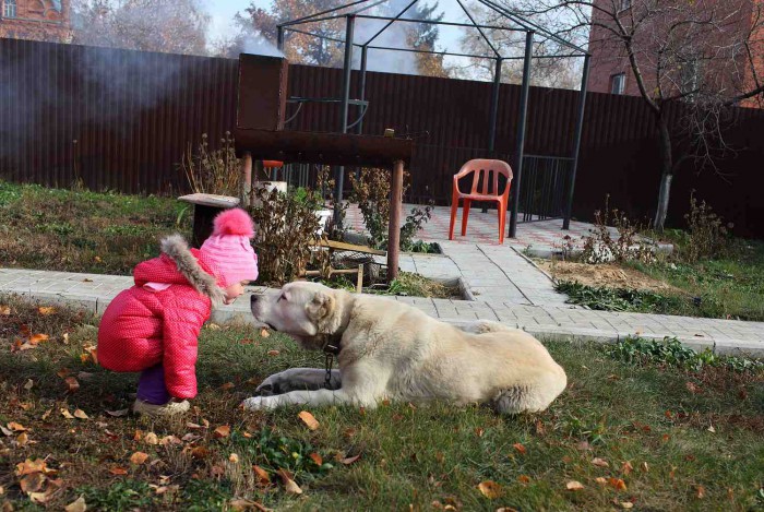 РЕС...IMG_5011.JPG