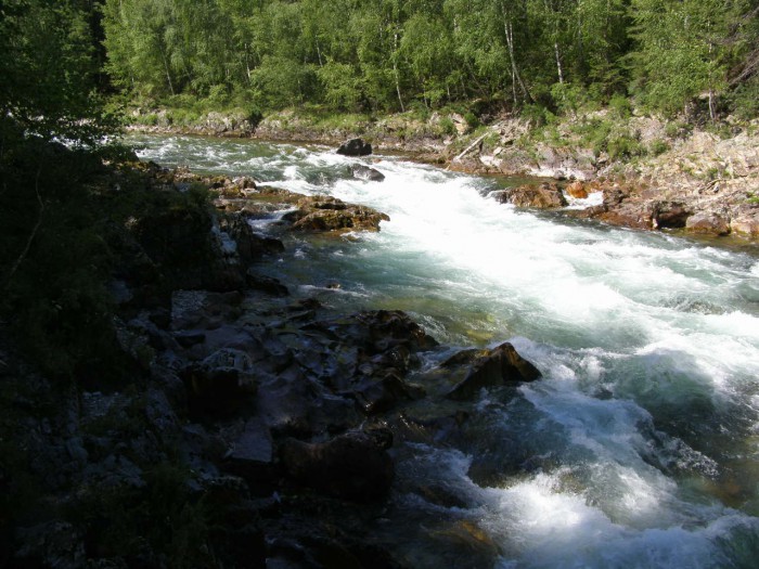 P7178944.JPG