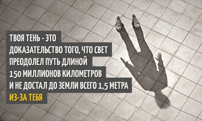 preview-650x390-650-1417779781.jpg