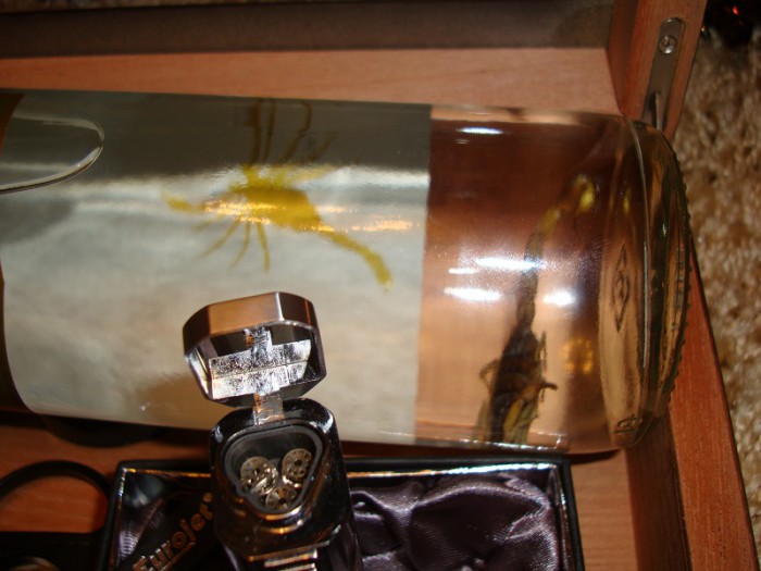 DSC08959iii.jpg