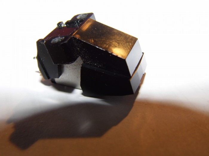 DSCI0546.JPG
