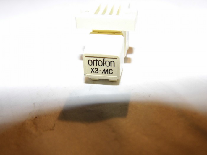 DSCI0595.JPG