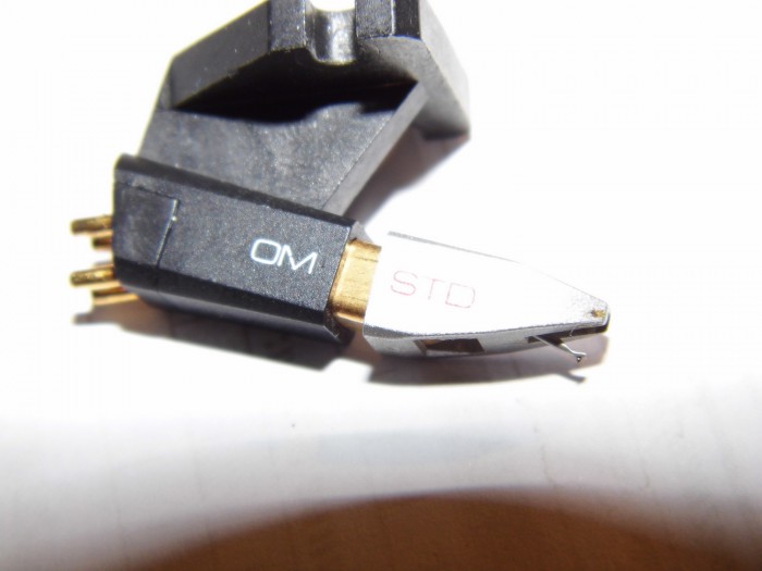 DSCI0666.JPG
