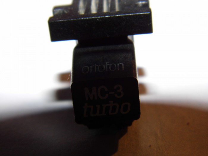 DSCI0689.JPG