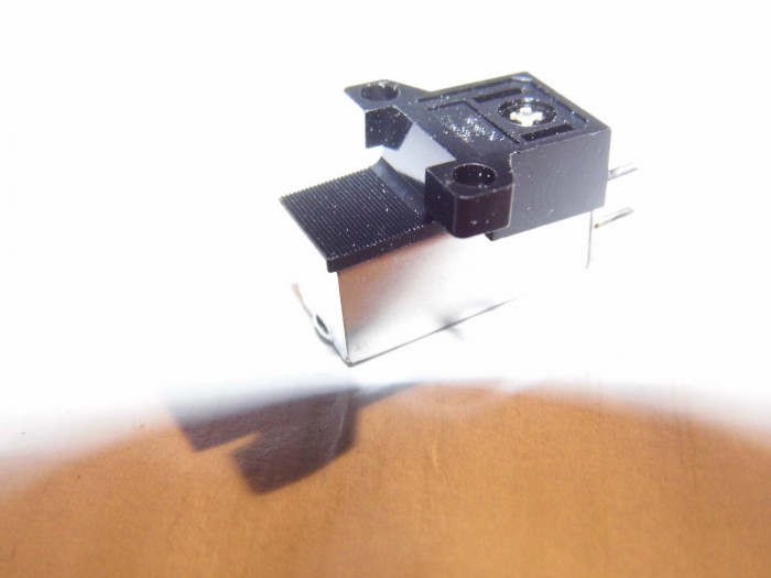 DSCI0729.JPG