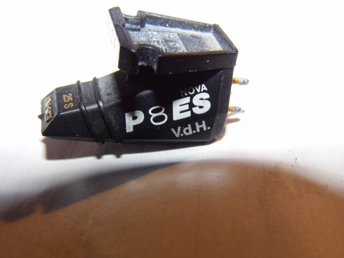 DSCI0761.JPG