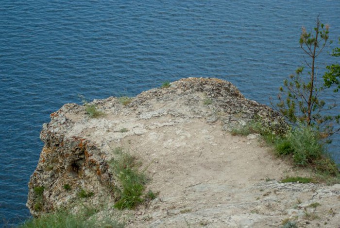 DSC06000.jpg