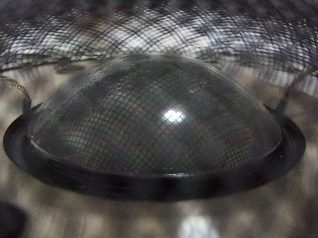 DSCF5519.JPG