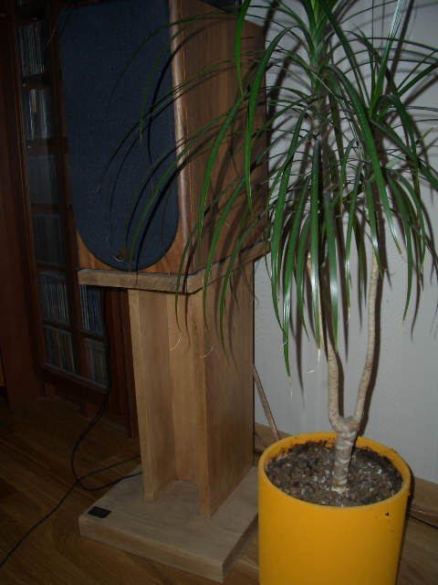 CIMG0302.JPG