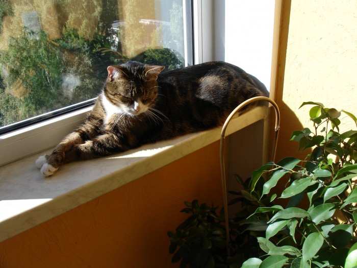 DSC09995.jpg