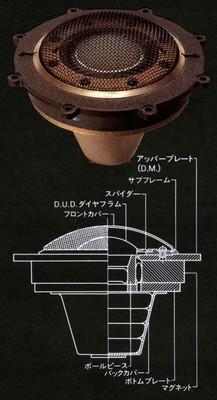ds-2000(3).jpg