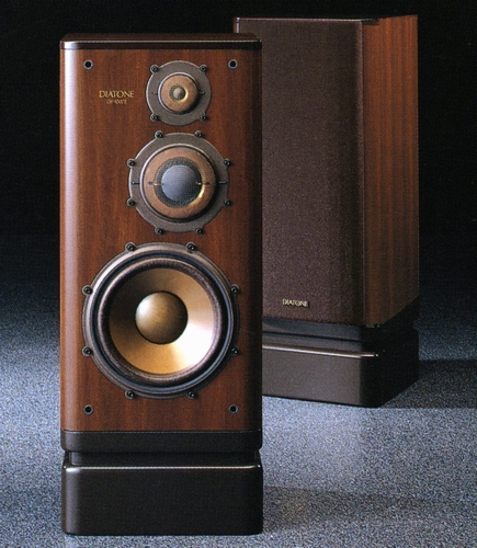 ds-1000z(1).jpg