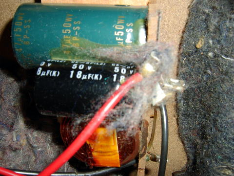 SANY46761.jpg