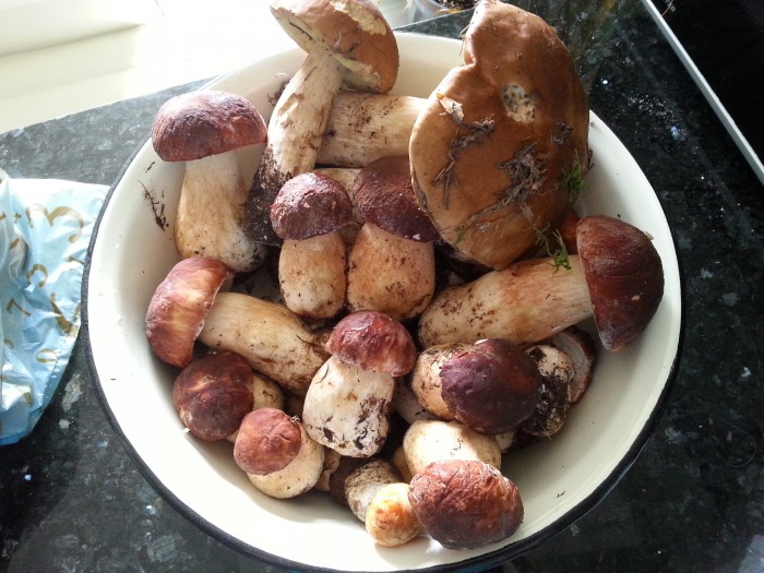 20140831_170532.jpg