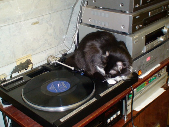 DSC01099.jpg