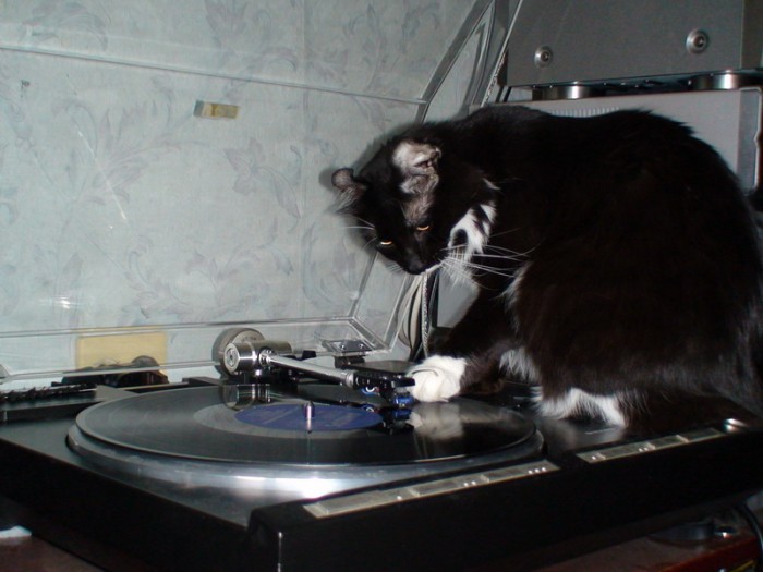 DSC01092.jpg