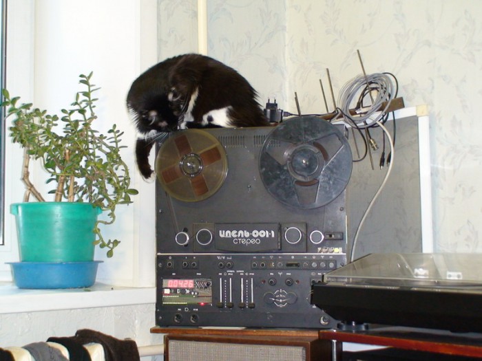 DSC01106.jpg