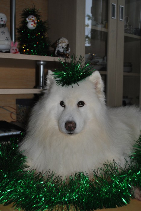 DSC_0158.JPG