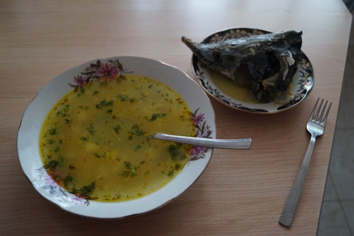 DSC01653.JPG