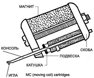 7dcf0b59fb55.jpg