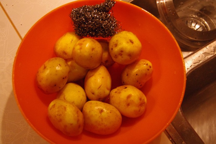 IMGP3469.JPG