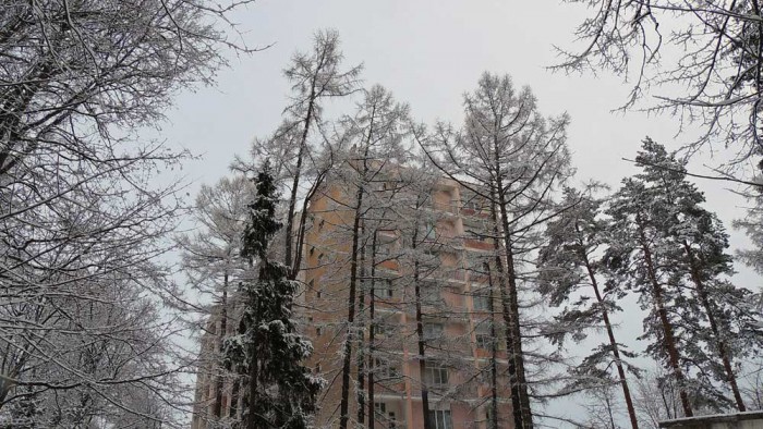 009-1.jpg