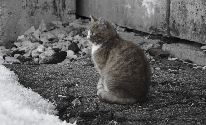 DSC_0845.JPG