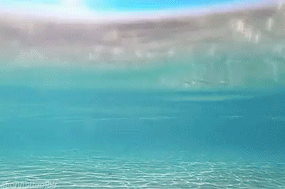 13337315ad7c7096c3bc0244b176a676910d1341dfea9f0ecd5c34b5ec3f45f9_1.gif
