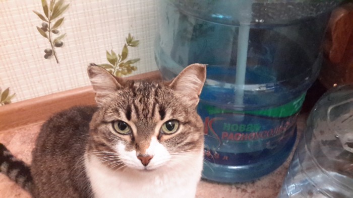 20160317_212343.jpg