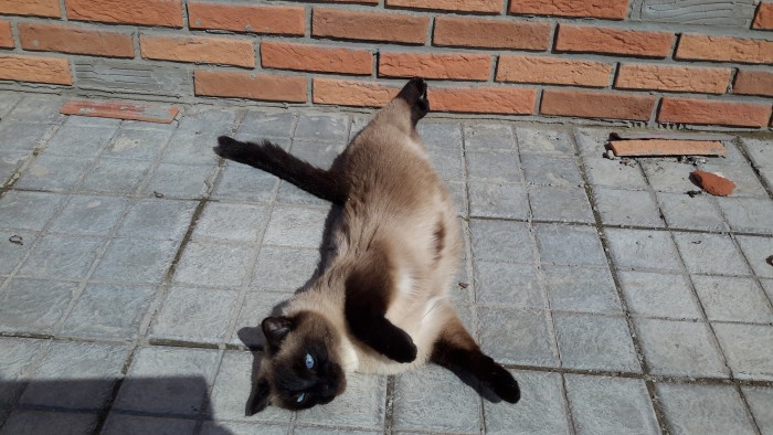 20160411_122716.jpg