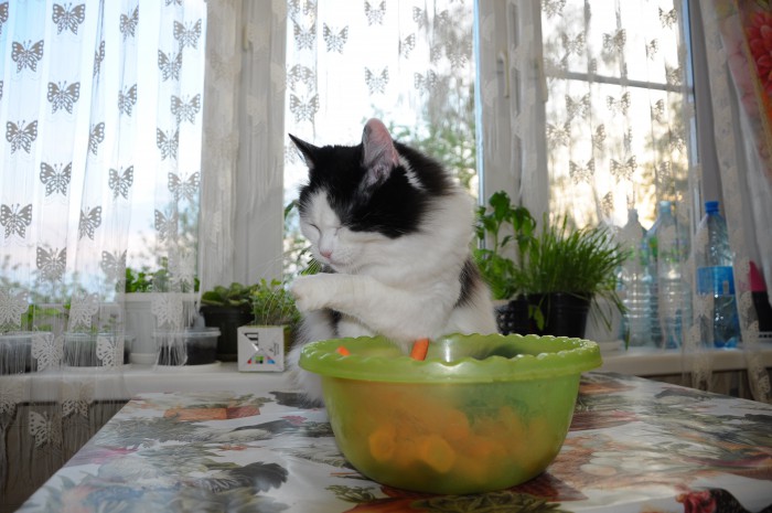 DSC_0887.JPG