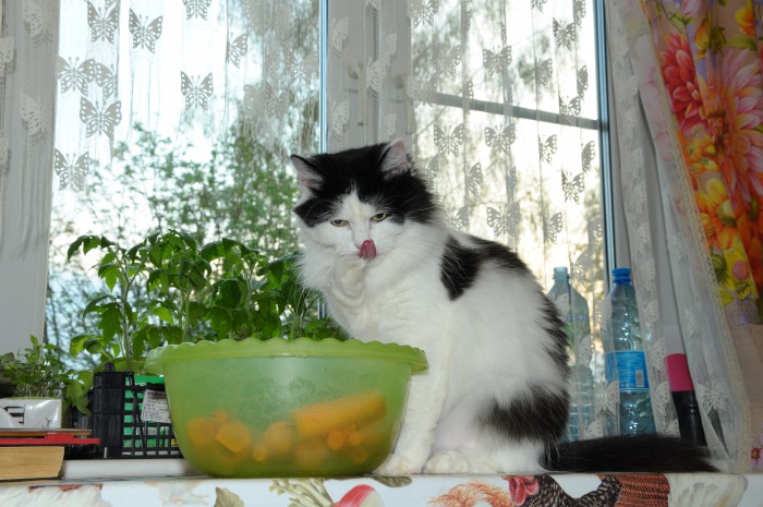 DSC_0863.JPG