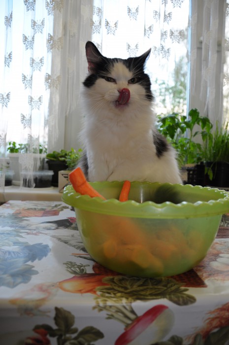 DSC_0882.JPG