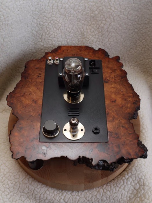 WOOD_SE_AMP.jpg