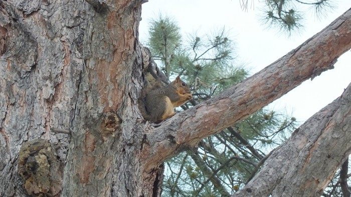 DSCF1163.JPG
